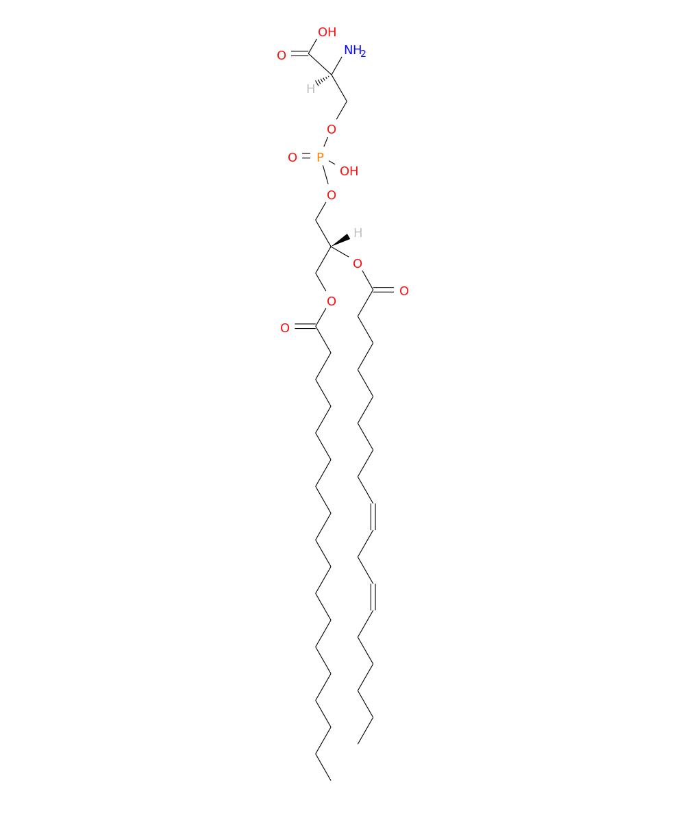 /media/lipids/LMGP03010031.png