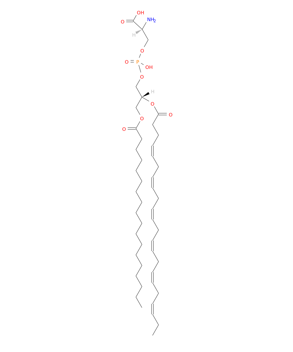 /media/lipids/LMGP03010040.png