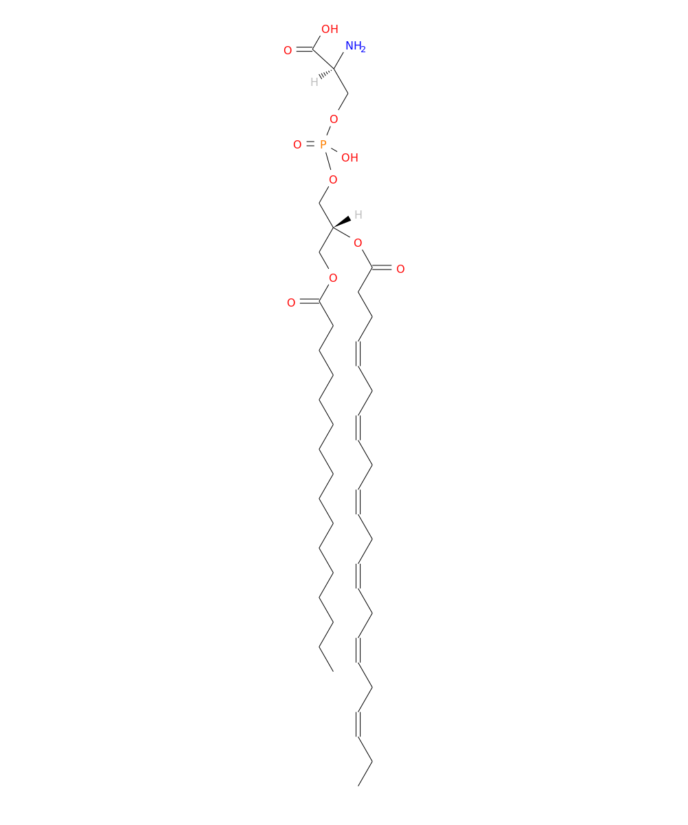 /media/lipids/LMGP03010043.png