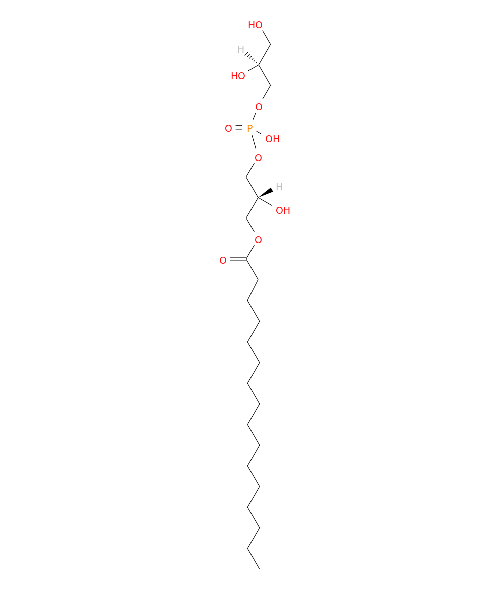 /media/lipids/LMGP04050008.png