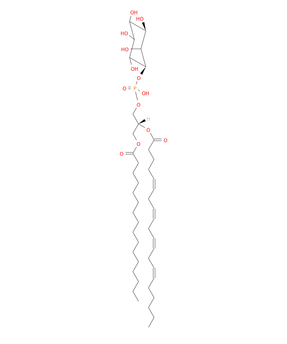 /media/lipids/LMGP06010958.png