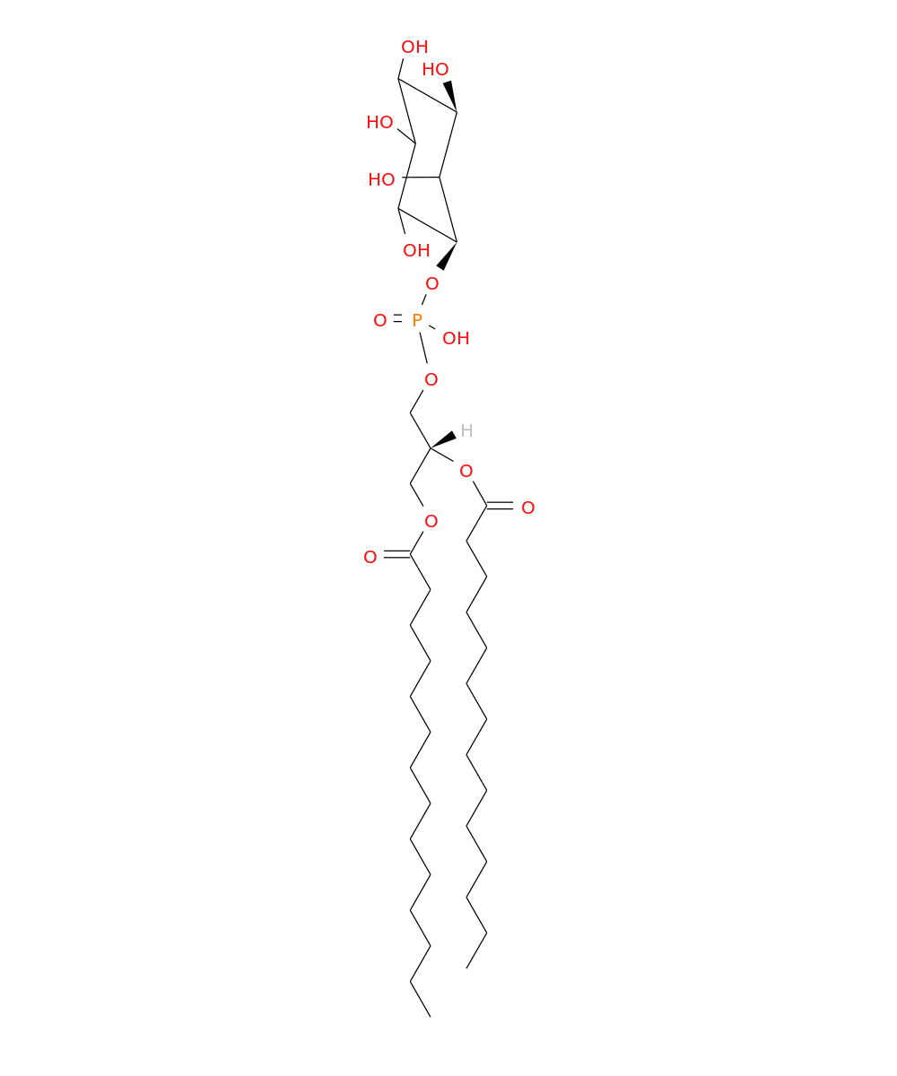 /media/lipids/LMGP06010961.png