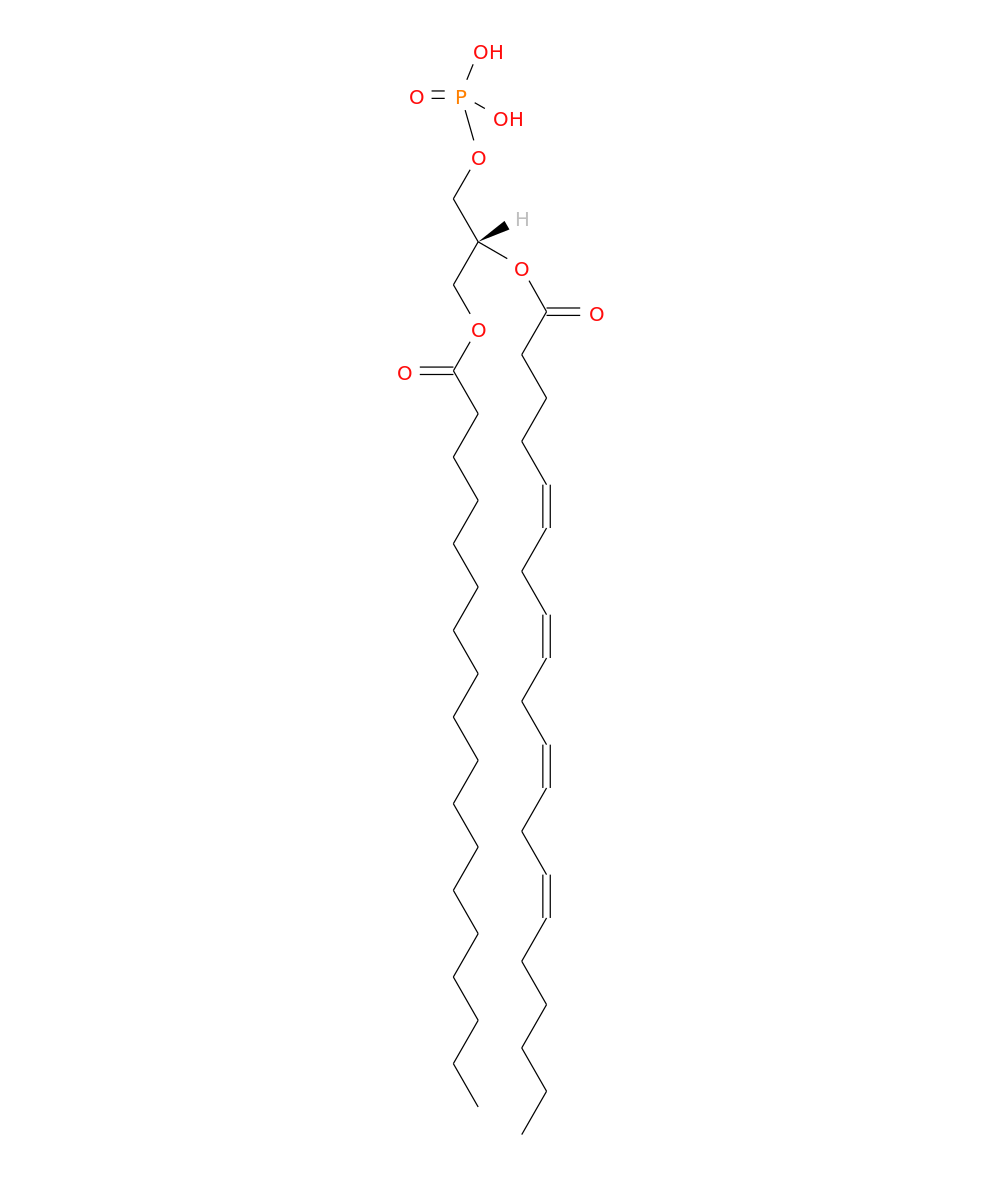 /media/lipids/LMGP10010024.png