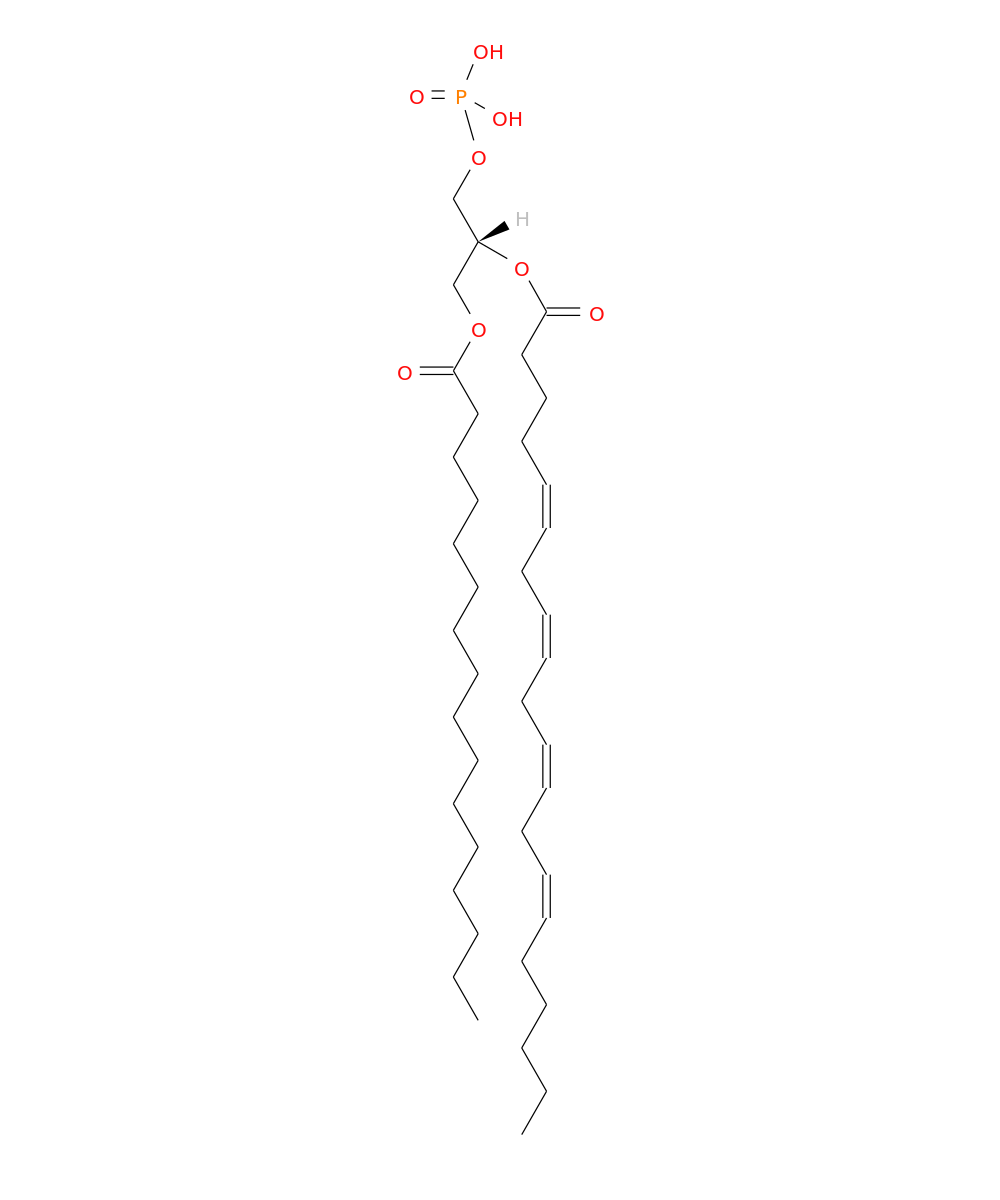 /media/lipids/LMGP10010025.png