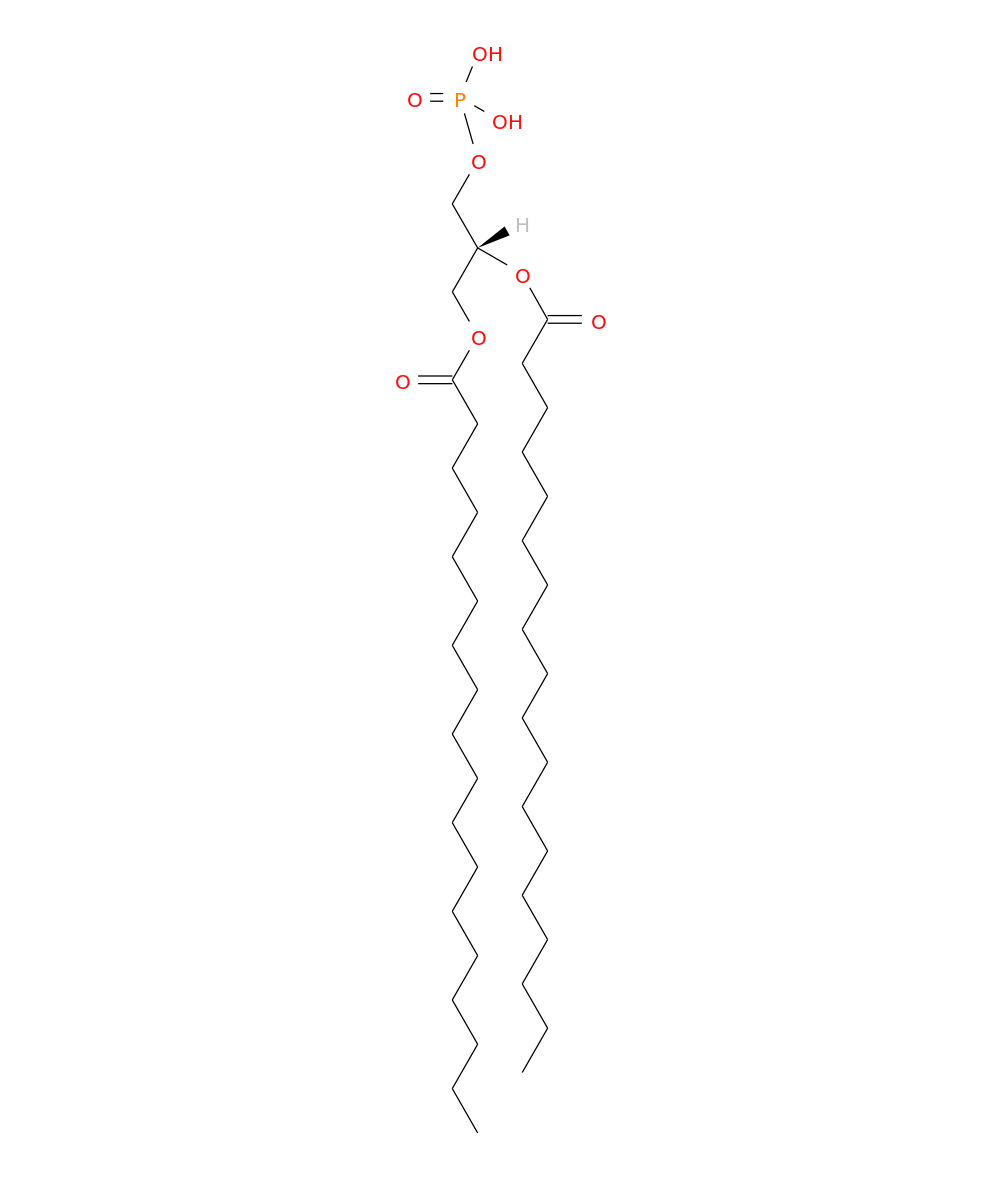 /media/lipids/LMGP10010028.png