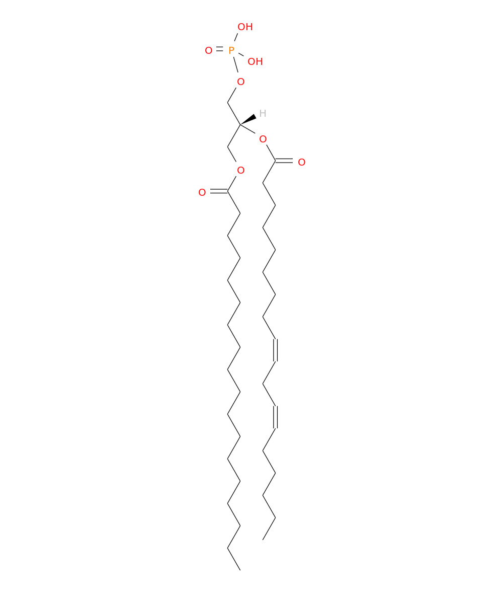 /media/lipids/LMGP10010036.png