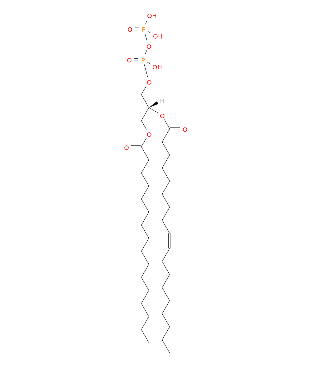 /media/lipids/LMGP11010001.png