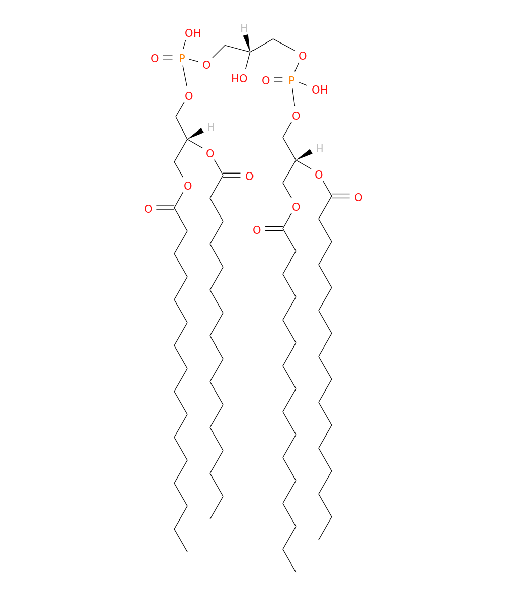 /media/lipids/LMGP12010007.png