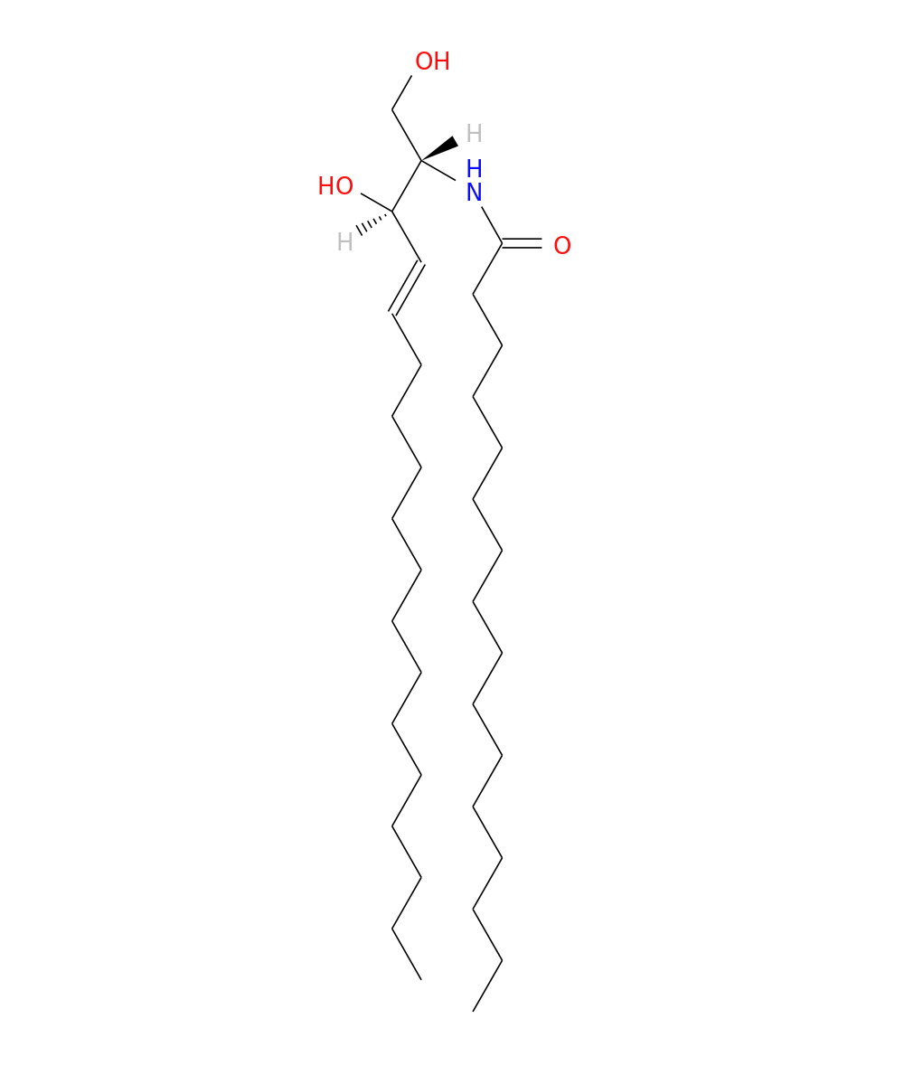 /media/lipids/LMSP02010004.png