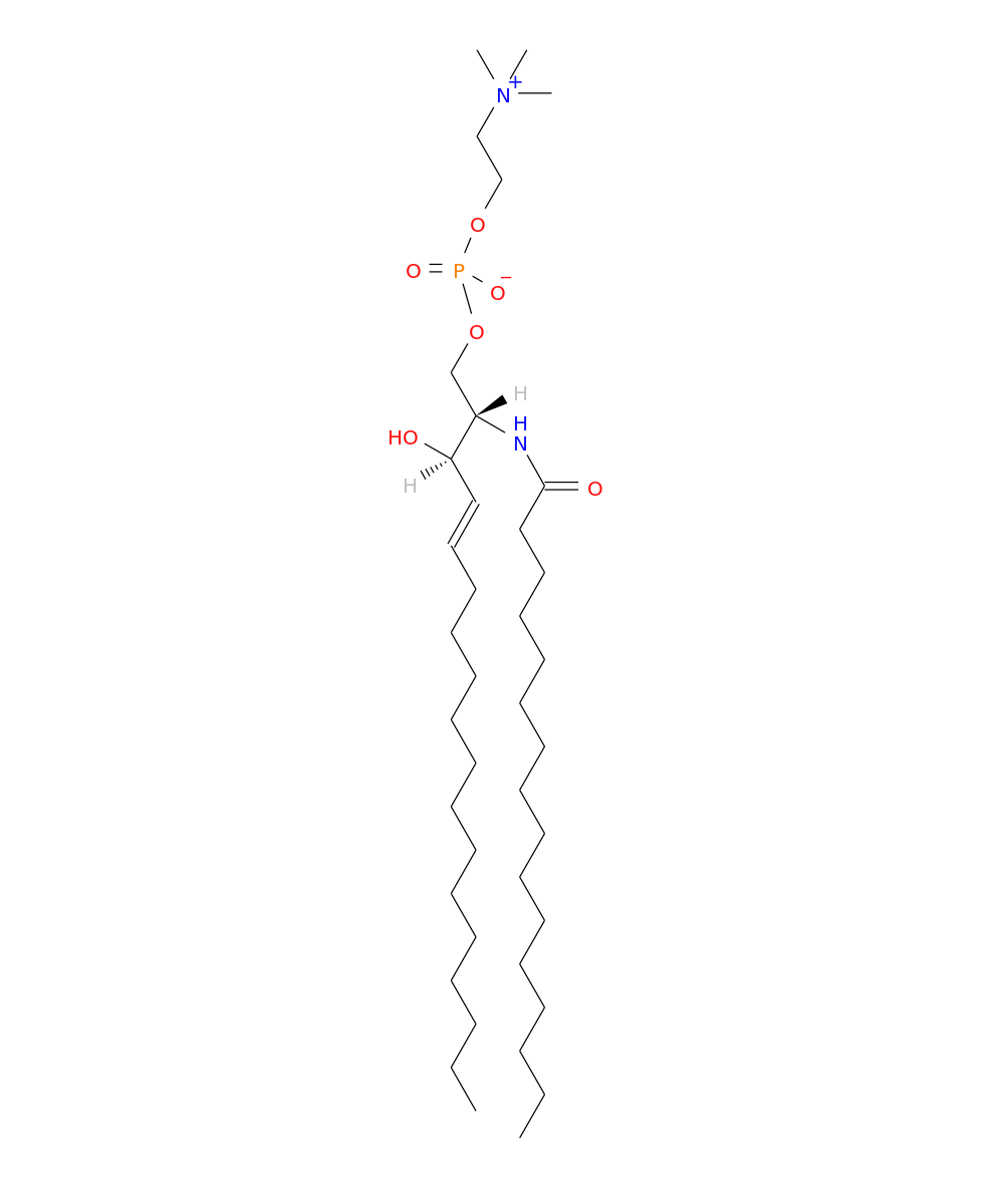 /media/lipids/LMSP03010003.png