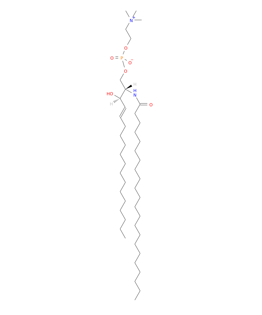 /media/lipids/LMSP03010006.png