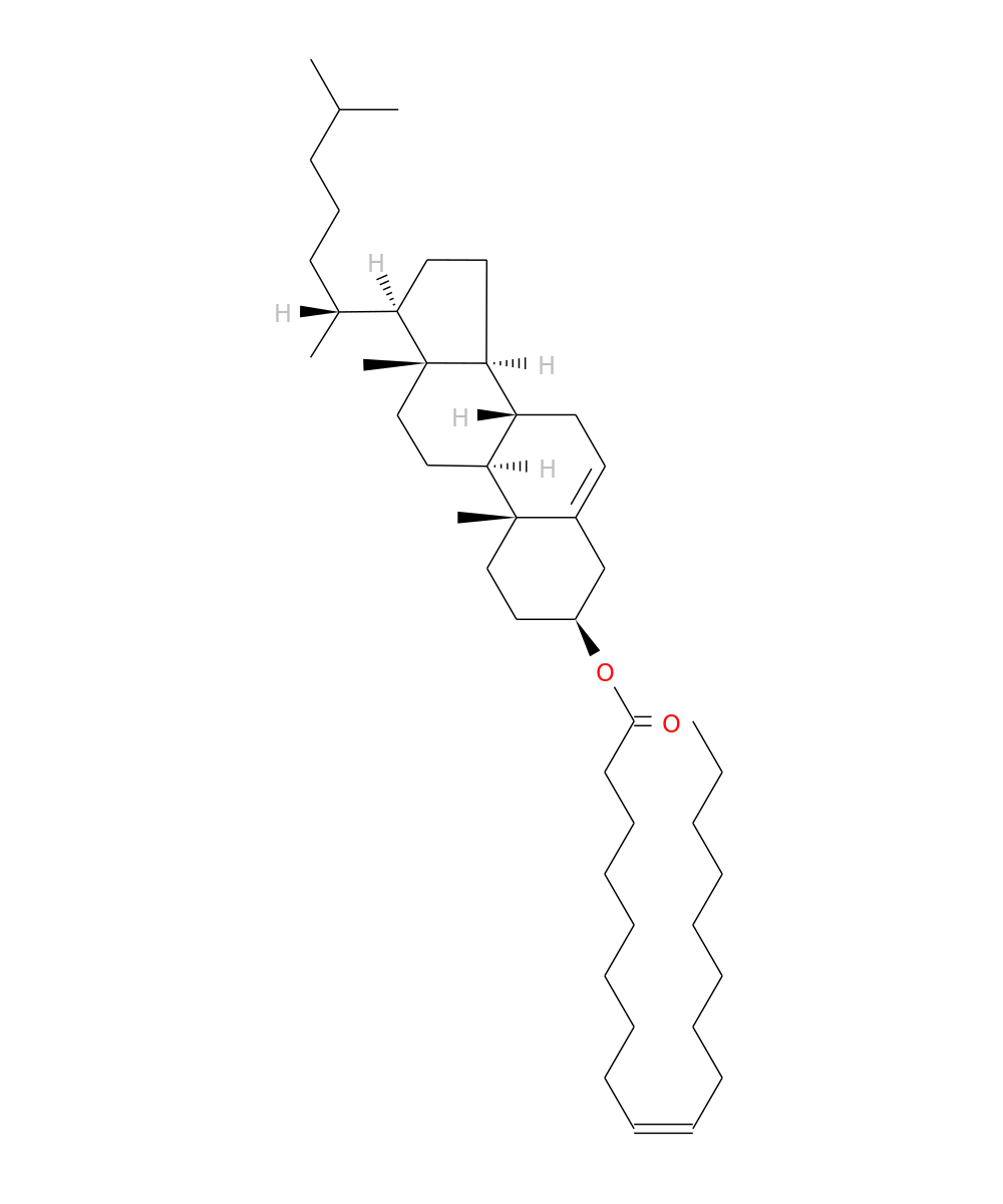/media/lipids/LMST01020003.png